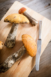 Similar image 7661256