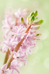 Similar image 7661258