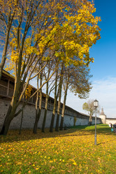 Similar image 7661262