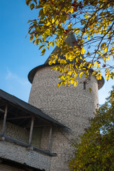 Similar image 7661263