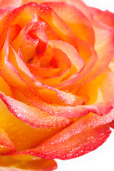 Similar image 7661264