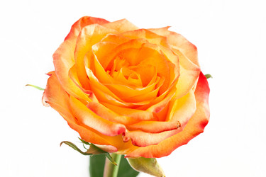 Similar image 7661265