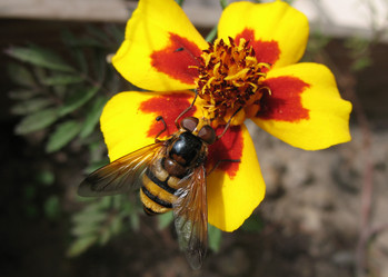 Similar image 7661272