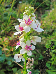 Similar image 7661274