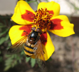 Similar image 7661286