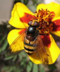 Similar image 7661287