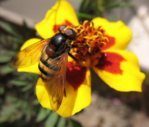 Similar image 7661288