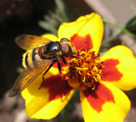 Similar image 7661289