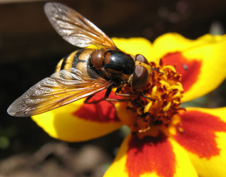 Similar image 7661291