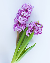 Similar image 7661318