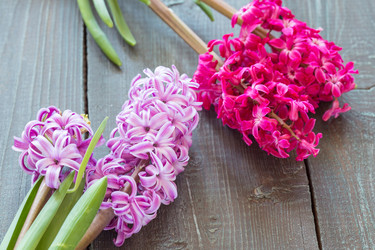 Similar image 7661341