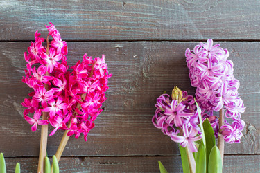 Similar image 7661342