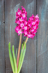 Similar image 7661343