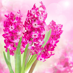 Similar image 7661354