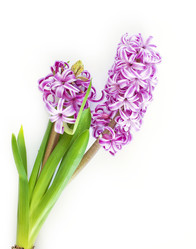 Similar image 7661355