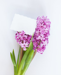 Similar image 7661357