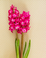 Similar image 7661360