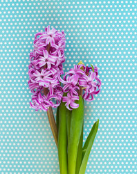 Similar image 7661361