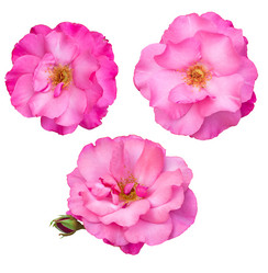 Similar image 7661362