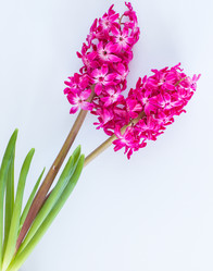 Similar image 7661366