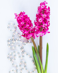 Similar image 7661368