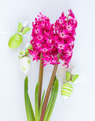 Similar image 7661371