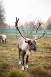 Similar image 7661397