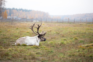 Similar image 7661398