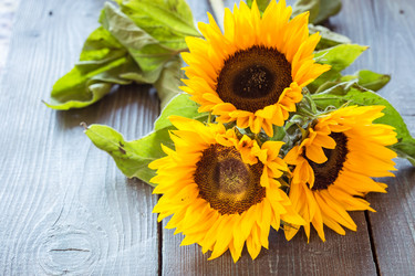 Similar image 7661411