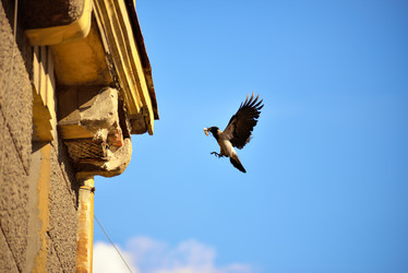 Similar image 7661439