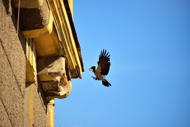 Similar image 7661441