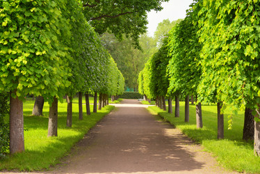 Similar image 7661476