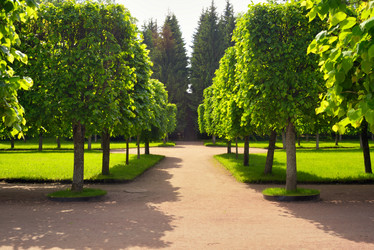 Similar image 7661477