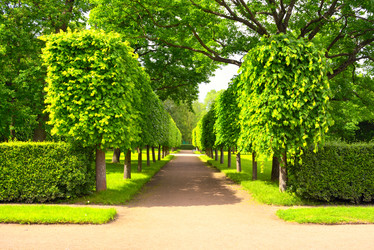 Similar image 7661493