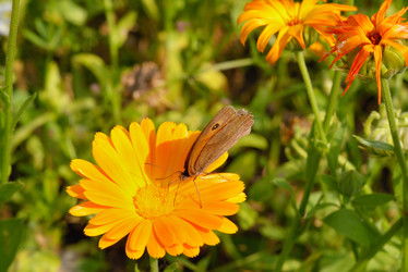 Similar image 7661496