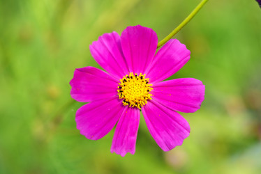 Similar image 7661502