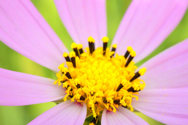 Similar image 7661534