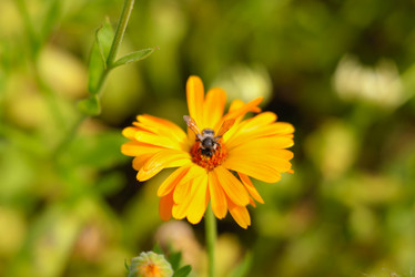 Similar image 7661556