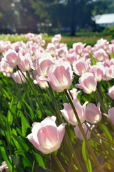 Similar image 7661559