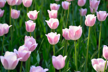 Similar image 7661562