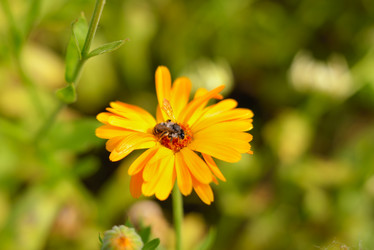 Similar image 7661563