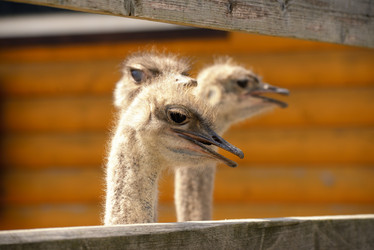 Similar image 7661575