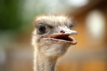 Similar image 7661583