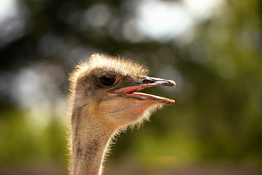 Similar image 7661584