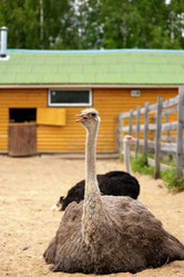 Similar image 7661586