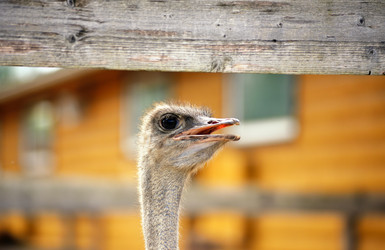 Similar image 7661587