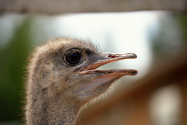 Similar image 7661589