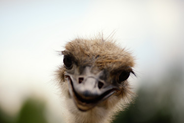 Similar image 7661590