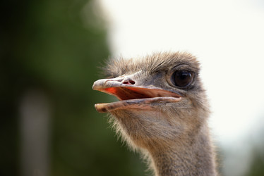 Similar image 7661591