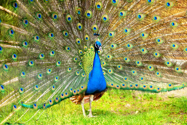 Similar image 7661595